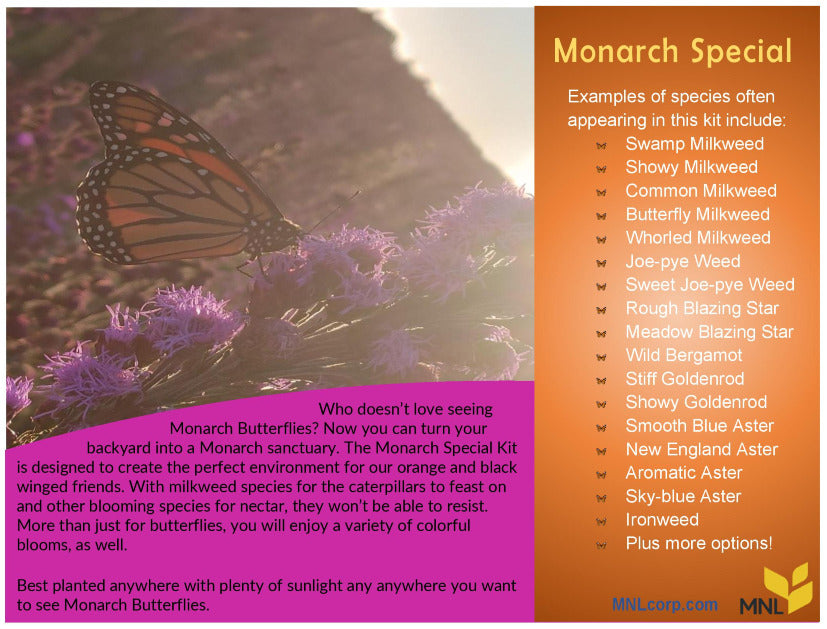 Native Plant Kit - Monarch Special