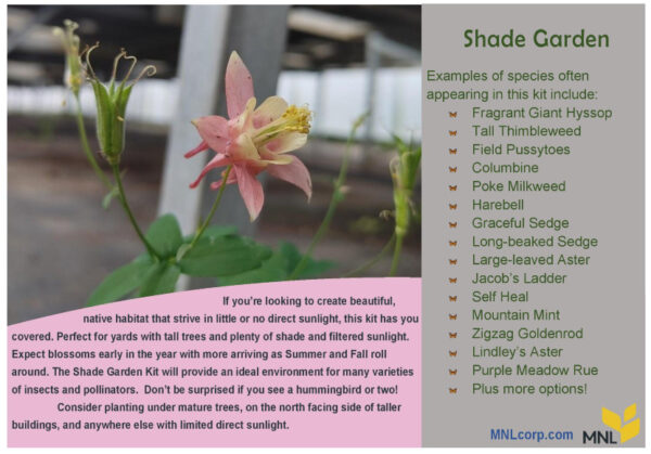 Graphic showing species of native plants for use in a shaded garden.