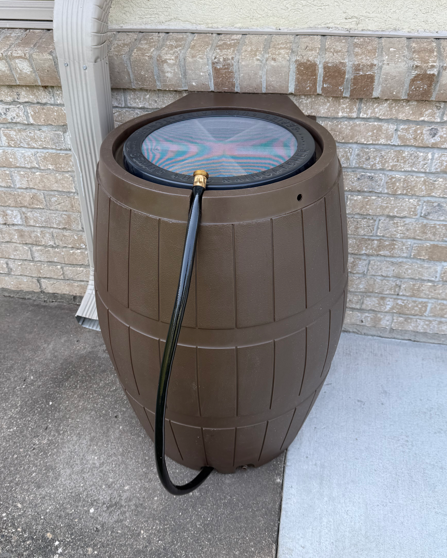 Rain Barrel
